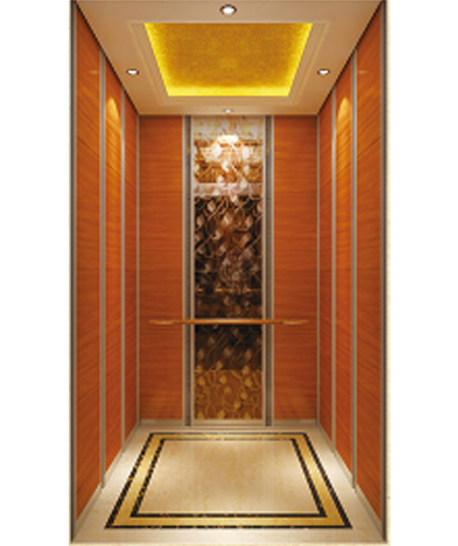 歌拉瑞别墅电梯-菡萏成花HC124